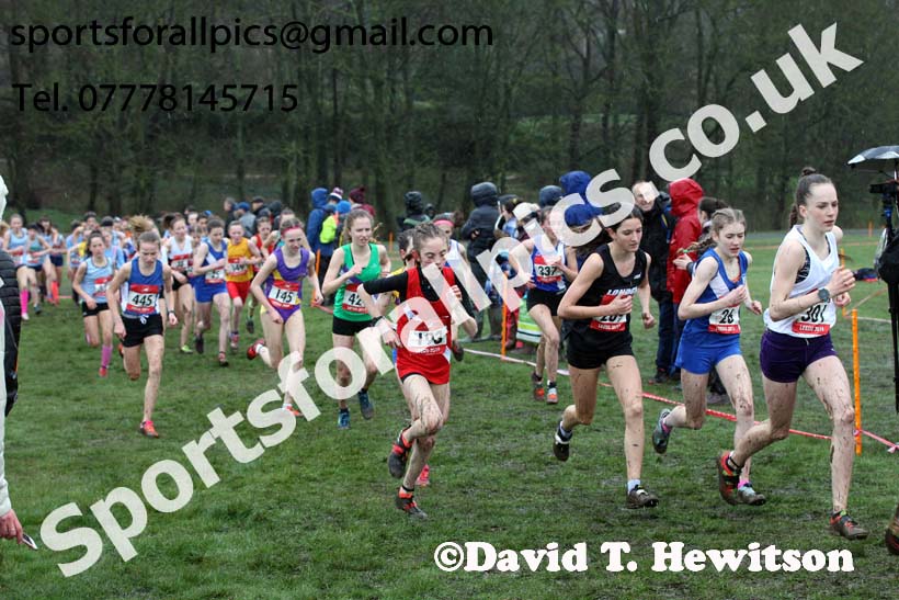 Junior girls 2019 New Balance English Schools Cross Country Champs, Temple Newsam, Leeds. Photo:  David T. Hewitson/Sports for All Pics